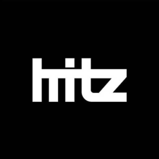 Логотип HITZ проверка сущности бренда
